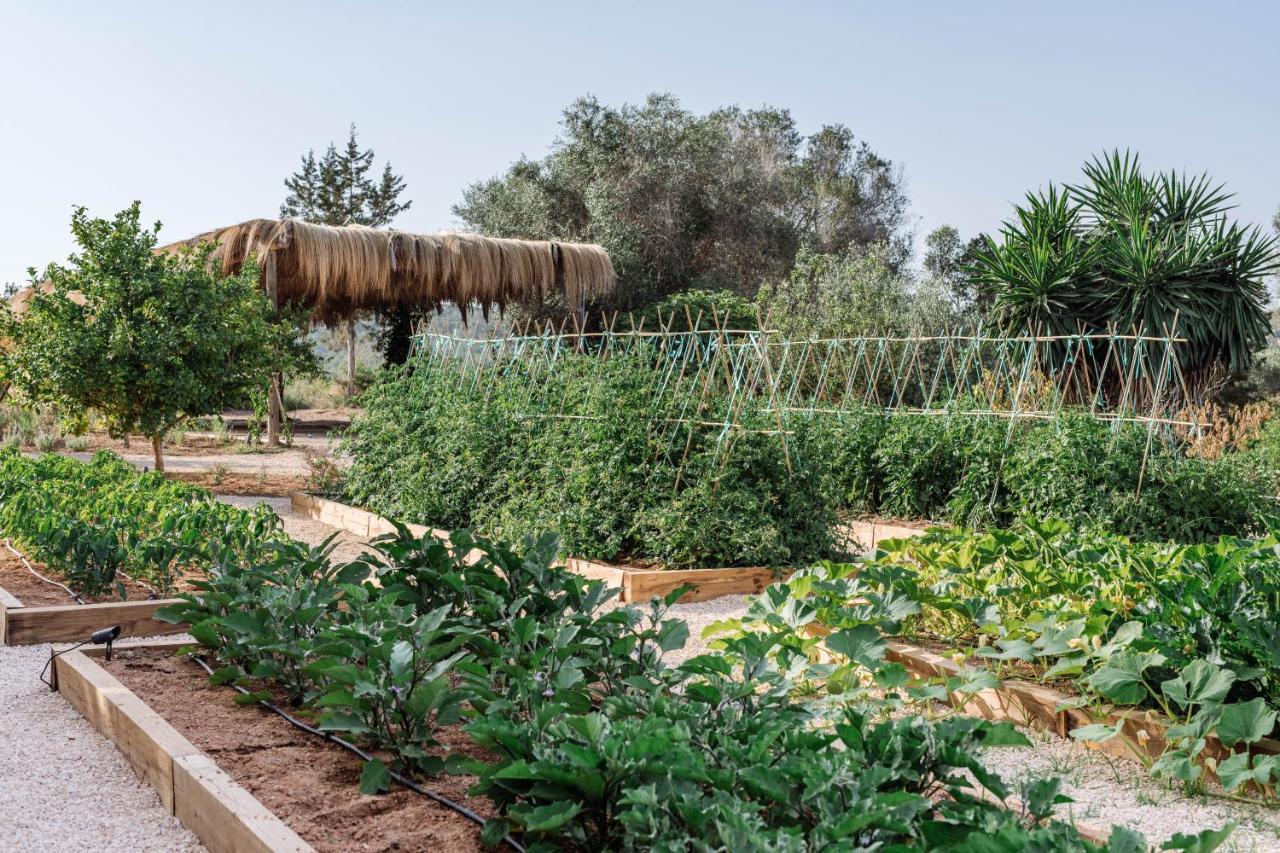 Agroturismo Can Domo Santa Eulalia del Río Exterior foto